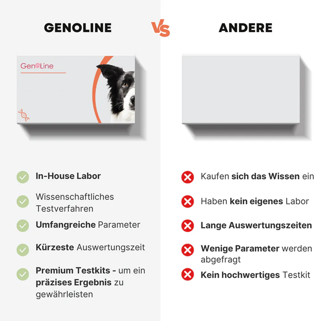 Allergietest für Hunde
