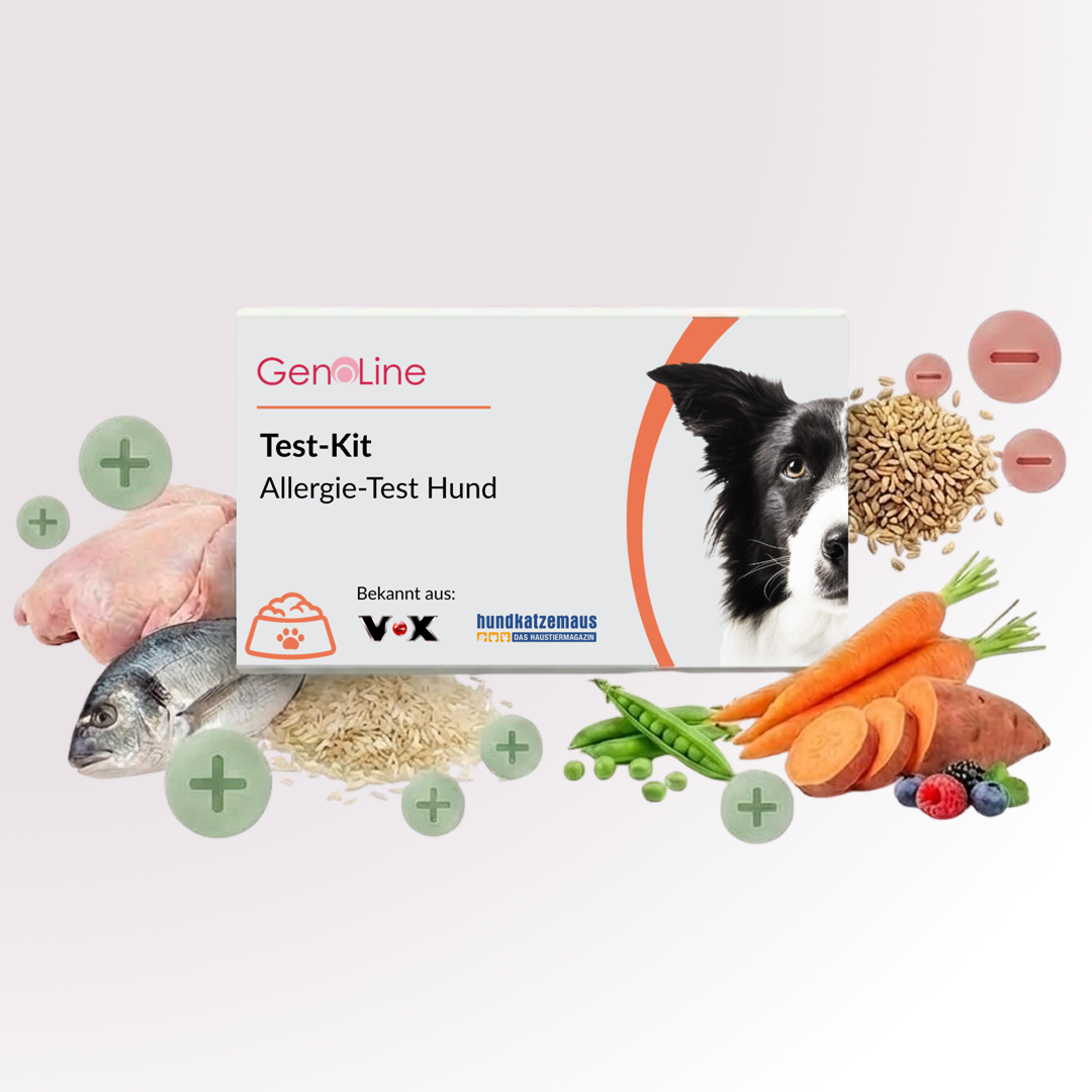 Allergietest für Hunde