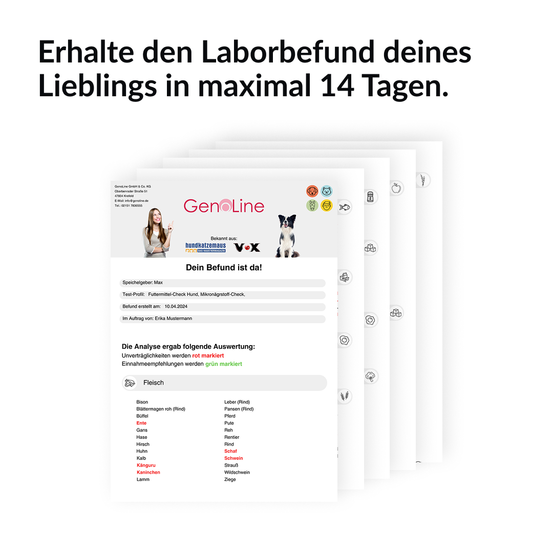 Allergietest für Hunde