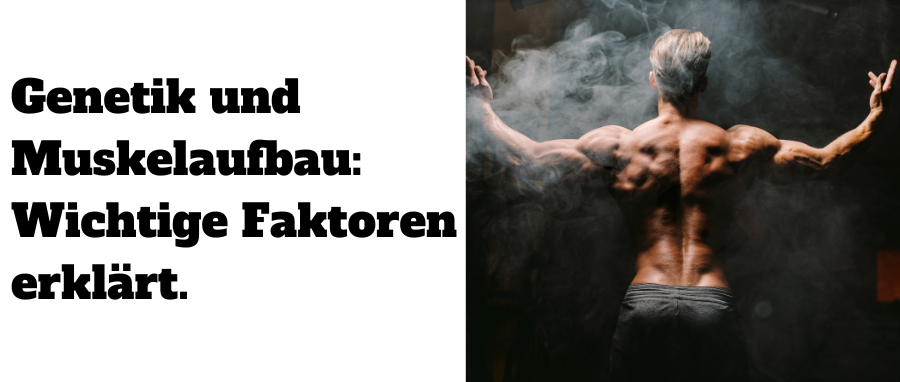 Genetik & Muskelaufbau: Zusammenhang, Mythen & Fakten