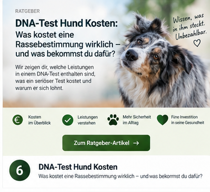 DNA-Test Hund Kosten: Was kostet eine Rassebestimmung wirklich – und was bekommst du dafür?