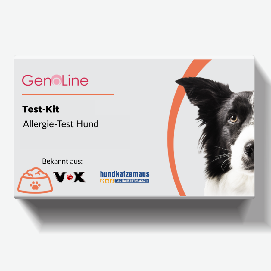 Allergietest Hund
