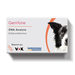 DNA-Erbkrankheiten Analyse Hund