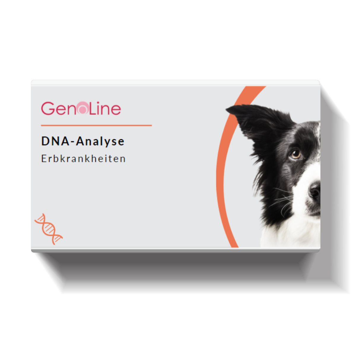 DNA-Erbkrankheiten Analyse Hund