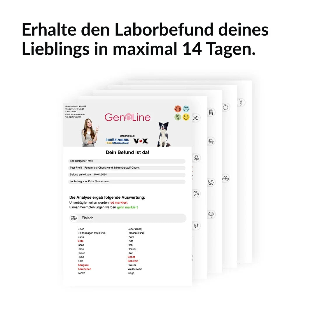 Beispiel einer Rassenauswertung mit Rasseanteilen in Prozent auf einem Smartphone