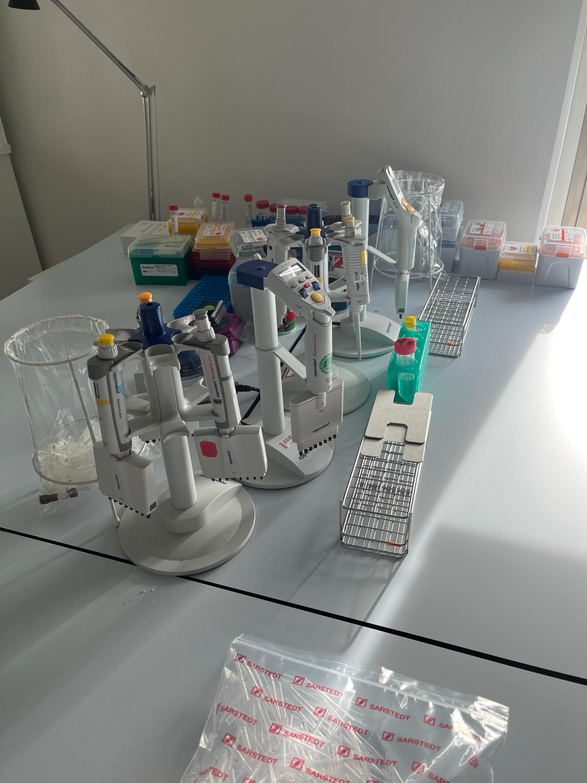 Pipettes and materials at a GenoLine laboratory workstation