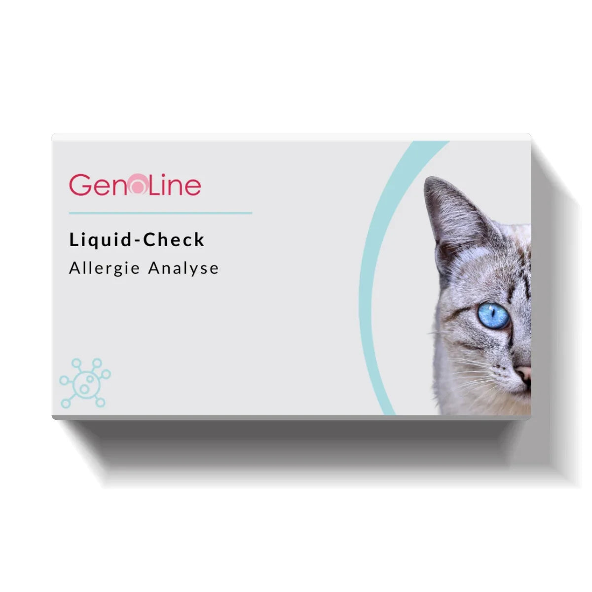 Allergie-Check Katze
