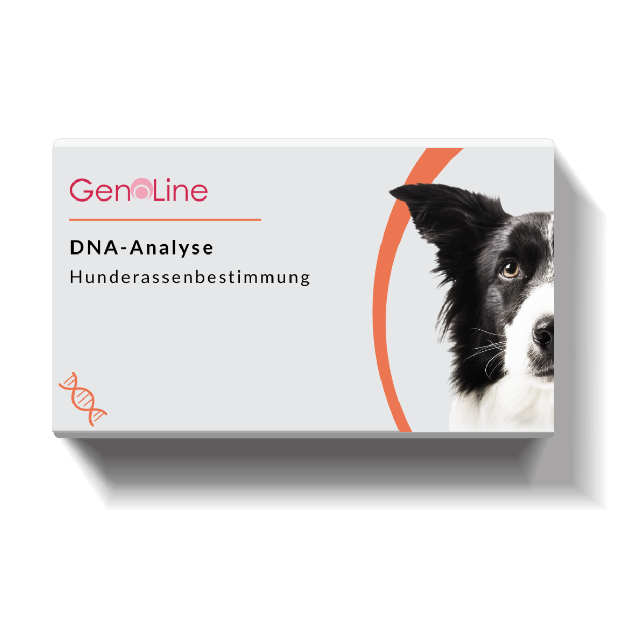 High quality DNA Test für Hunde