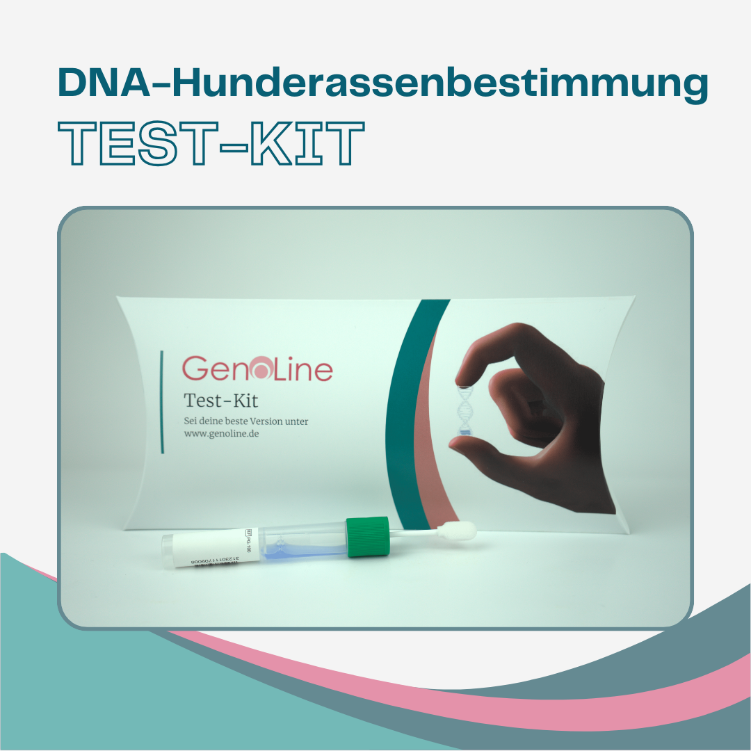 GenoLine test kit contents with sampling materials and return envelope
